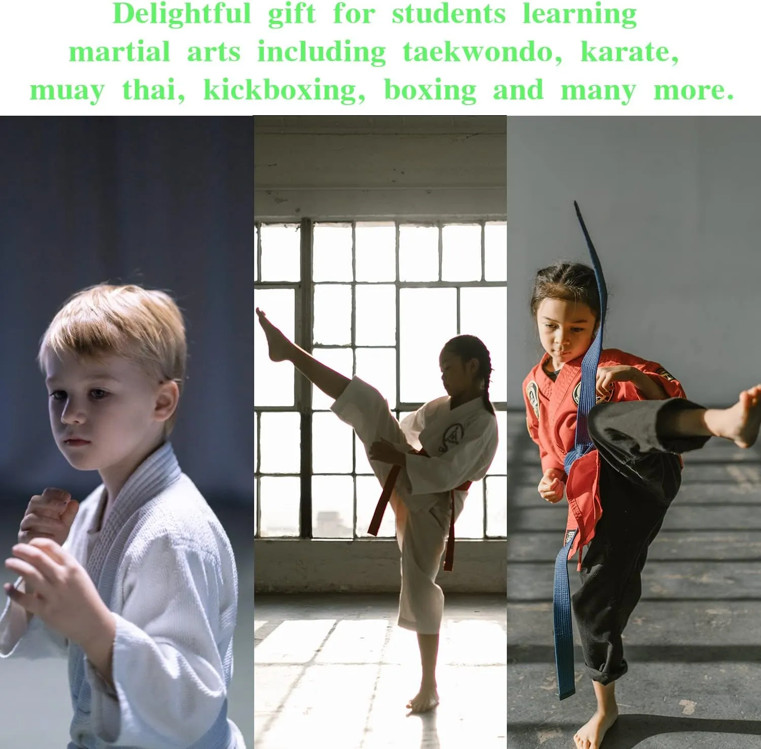 12pcs Taekwondo Karate Breaking Boards,Karate Martial Arts Boards,Professional Wood Boards for Taekwondo Breaking,Boxing Equipment Breaking Board Practice Performing for Kids&Adult